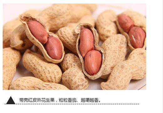 舌享味来·原味炒花生 多规格可选 带壳红皮熟花生果 粒粒香脆 商品图3