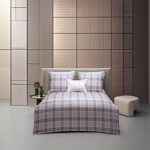 【维科家纺】  温馨保暖-巴黎格调 商品图0