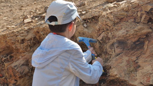 优惠减￥1000，12.22截止【拾色滇东南6天5晚亲子营】去云南温暖过冬！走进现实版“侏罗纪公园”，跟着专家挖恐龙！哈尼梯田摸鱼，建水“赶科举”，闯进弥勒“东方魔幻城”，住哈尼族蘑菇屋！ 商品图11