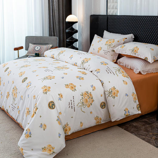 红蜻蜓亲肤棉四件套-暖阳浅语 商品图4