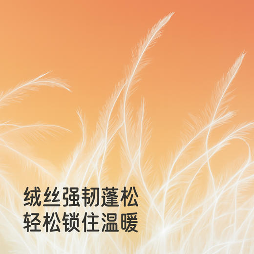 英氏儿童短款羽绒服连帽女童男童户外保暖防风御寒休闲外搭冬季超韧绒 商品图3