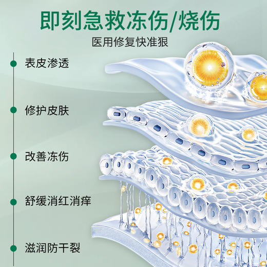 【超值4罐装】德国品牌 HEALMUSZ 獾油烧伤冻伤膏 草本配方 长效修护 25g*4罐 商品图2