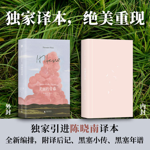 黑塞经典：美丽的青春 | 记录自然与青春的奏鸣曲 商品图3