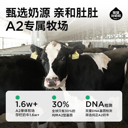 隔壁刘奶奶-A2纯牛奶125ml*9盒 商品图4