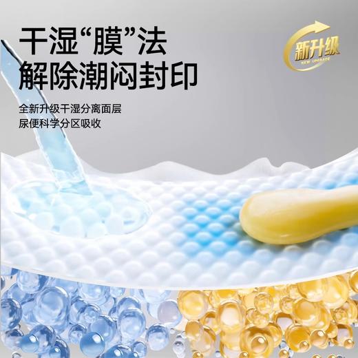 碧芭宝贝大鱼海棠pro系列纸尿裤拉拉裤 商品图3