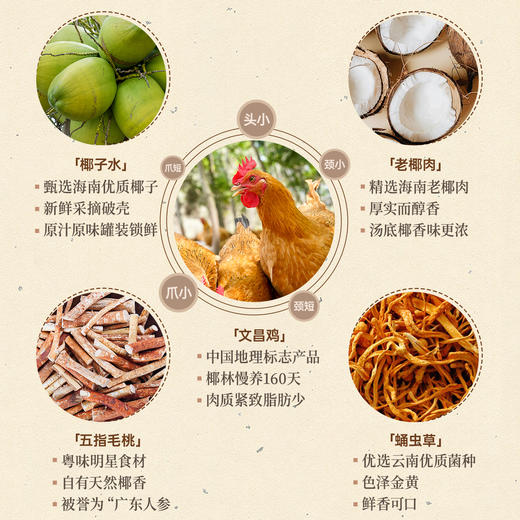 【3-4人餐】五指毛桃虫草花椰子鸡丨京东/顺丰包邮 商品图3