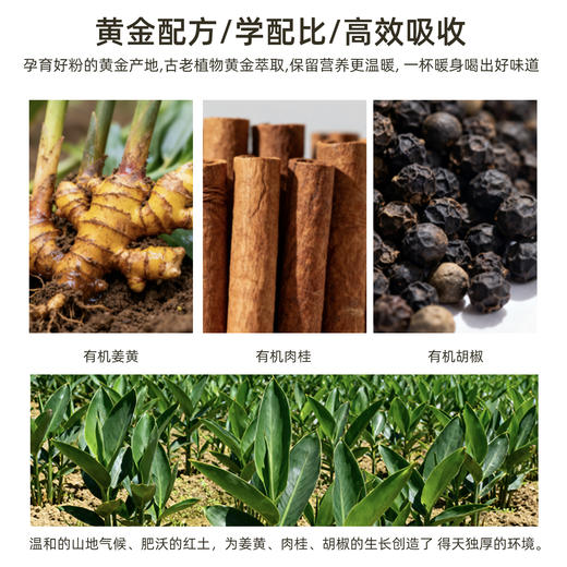 有机认证云南有机胡椒肉桂姜黄经典配比混合粉  60g 商品图4