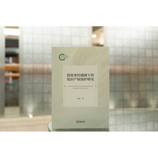 投资条约视阈下的知识产权保护研究 何艳著 法律出版社 商品图0