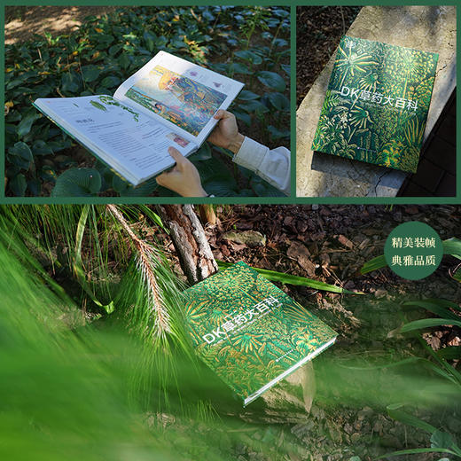 DK草药大百科 商品图4