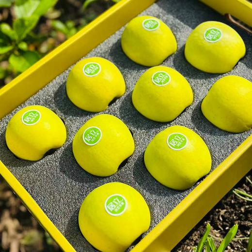 瑞雪王林| 最近到了新果子，个头大，果密度高，水分也足，细致脆甜可口，有股淡淡的清香，回味极了，这就是纯正王林的味道，瑞雪王林~ 商品图4