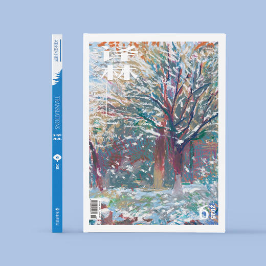 2025年《译林》杂志 第6期 商品图1