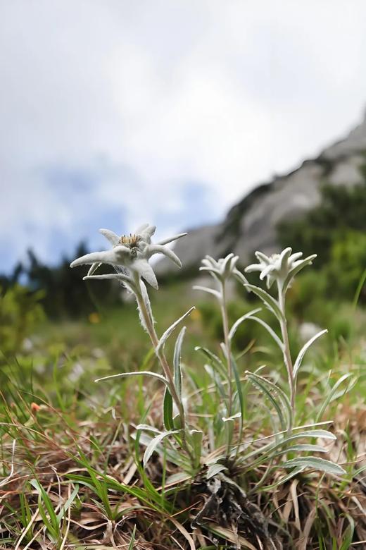 苗老师测试11 商品图0