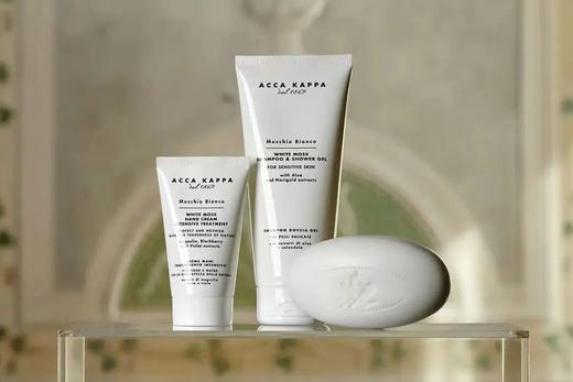 欧洲老富醉爱意大利四季酒店同款护手霜！冬季贵妇必备！ 商品图2