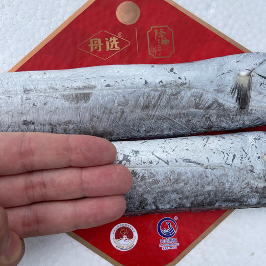 顺丰冷链，正宗舟山雷达网带鱼 细腻油润！深海捕捞！营养高！舟选海鲜 码头直达 纯野生 肉质细腻 商品图7