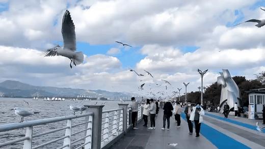 【2026寒假-恬恬自组-滇东南】6天5晚 奇遇童年| 董宇辉力荐！暖冬计划：建水|元阳|弥勒，全程4钻住宿，特别安排弥勒一晚温泉酒店，做非遗传人，吃地道美食，体验哈尼族文化，玩出不一样的精彩童年！ 商品图3