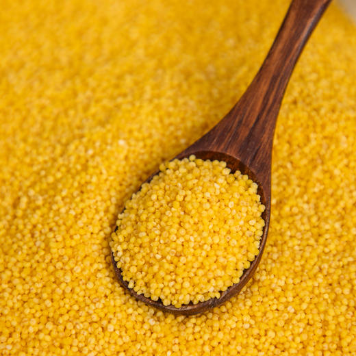 热卖！养胃 满满米油！“世界小米之乡”白小禾 内蒙古敖汉有机小米 色泽金黄 米香四溢 米油醇厚 1.3kg/袋 商品图8