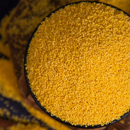 热卖！养胃 满满米油！“世界小米之乡”白小禾 内蒙古敖汉有机小米 色泽金黄 米香四溢 米油醇厚 1.3kg/袋 商品图10