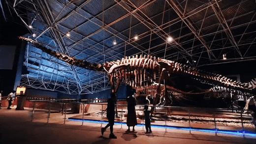 优惠减￥1000，12.22截止【拾色滇东南6天5晚亲子营】去云南温暖过冬！走进现实版“侏罗纪公园”，跟着专家挖恐龙！哈尼梯田摸鱼，建水“赶科举”，闯进弥勒“东方魔幻城”，住哈尼族蘑菇屋！ 商品图1