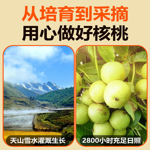 时光庄园薄皮烤核桃 2400g/袋 草本味超酥脆 商品图10