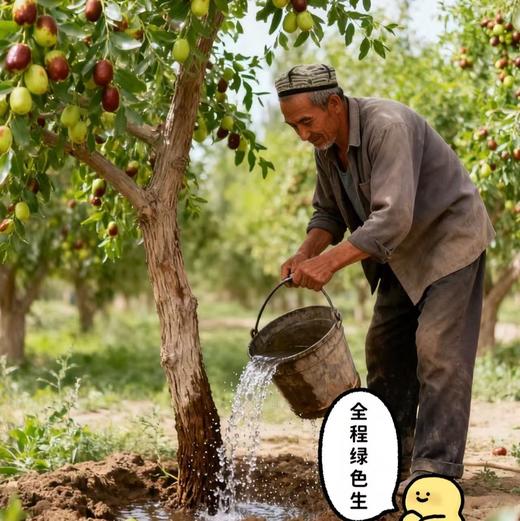 【有机灰枣】有机种植+加工有机，个头适中，甜度较高，口感纯正，源自“富饶的角落”-新疆布鲁沐沙，这里远离城市喧器、日照充足、昼夜温差大共同构筑红枣生长的天然优生区，糯香甜，肉厚！饱满！吃起来软糯香甜。 商品图5