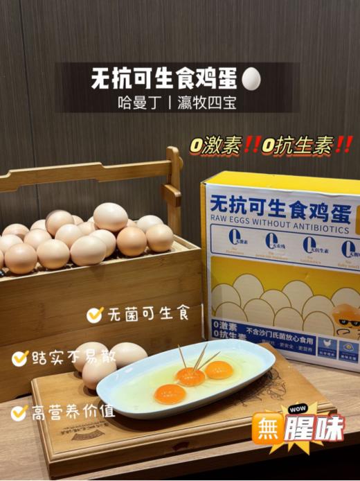 🔥新品首发💥【哈曼丁&瀛牧四宝｜无抗可生食鸡蛋】💢30枚/盒✅权威认证｜安全🉑️生食 🌼黄金营养🎉常适合孕妇、孩子、老人~食品安全，从0🥚开始 商品图0