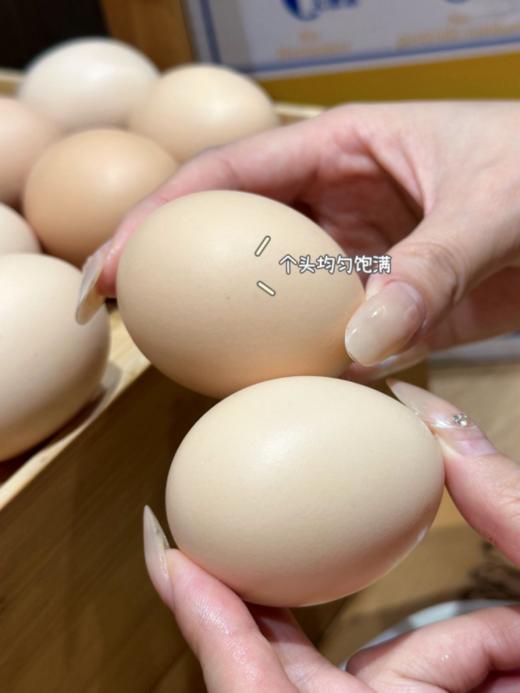🔥新品首发💥【哈曼丁&瀛牧四宝｜无抗可生食鸡蛋】💢30枚/盒✅权威认证｜安全🉑️生食 🌼黄金营养🎉常适合孕妇、孩子、老人~食品安全，从0🥚开始 商品图6