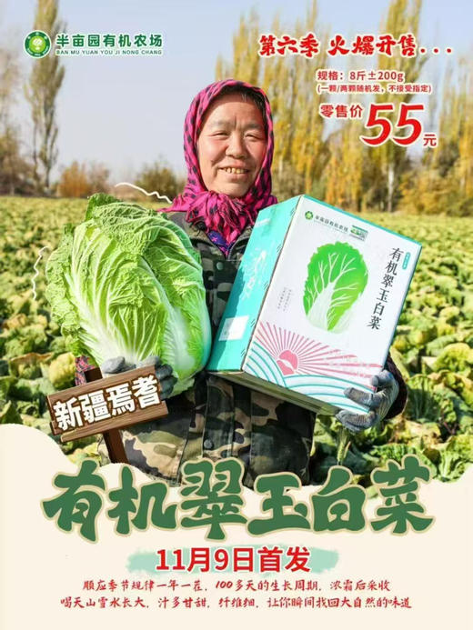 新疆有机翠玉大白菜，带有机码可溯源
自然生长，无化学农药
包装简单，保留原汁原味
新鲜送达，吃着放心 商品图0