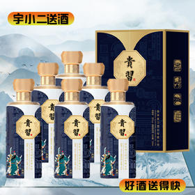 【酱香型】贵习武圣酒53度500ml*6