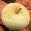 生态黄金富士苹果 | 合作生产 | 基地直发*‌ ‌Golden Fuji Apple‌ 商品缩略图6