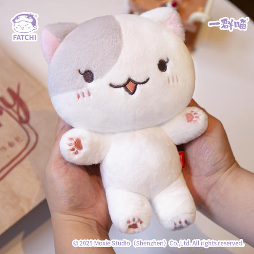 一群喵-豆花公仔 商品图1