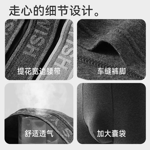 男士纯棉内裤80S新疆长绒棉7A抗菌透气底档纯色舒适男士内裤纯棉 商品图3