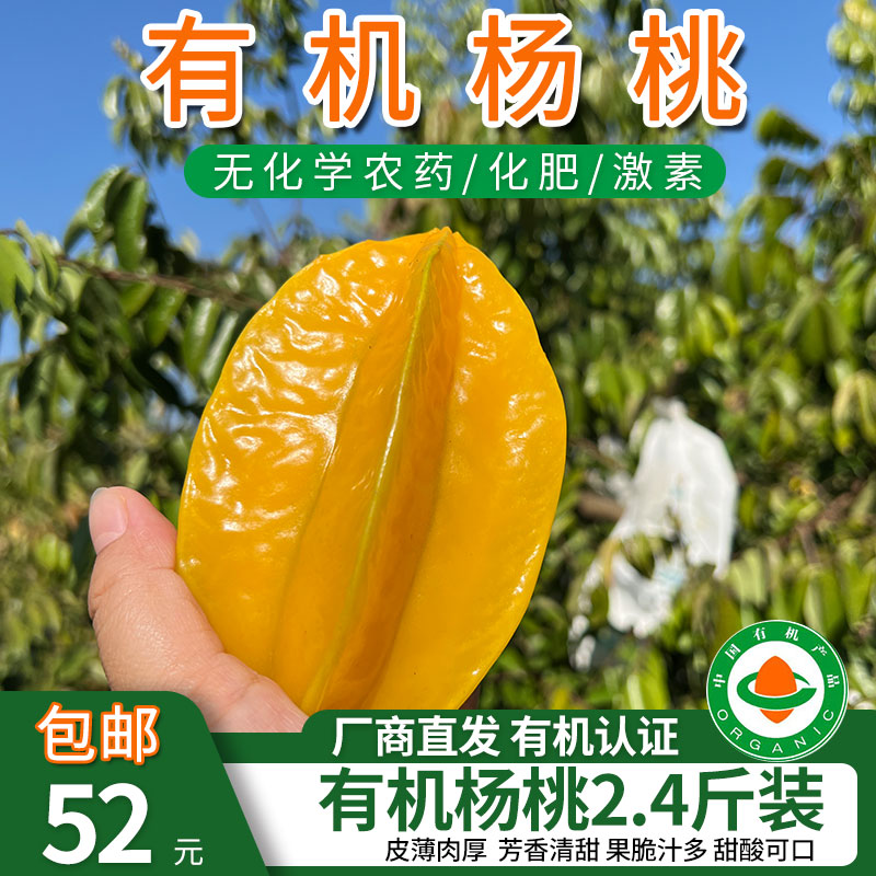 【厂商直发】云南有机杨桃皮薄肉厚纤维少芳香清甜果脆汁多甜酸可口包邮