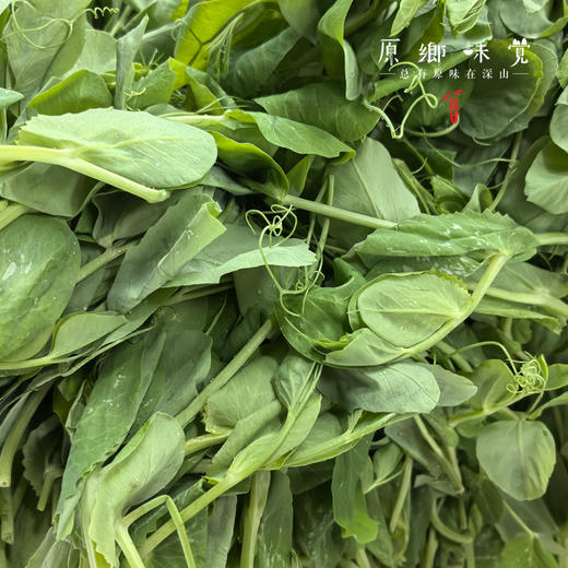 生态酵素蔬菜/豌豆尖/松花菜/莲花白（基地直发-京东包邮）| 多种规格，来自四川绵竹，生产者：熊然【合作生产，公平贸易】 商品图1