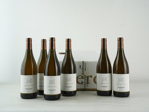 斯洛文尼亚2020年费迪南酒庄瑞布拉橙酒 商品图3