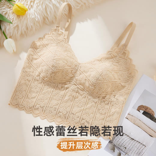雅黛俪背心式女士文胸性感蕾丝固定三角杯内衣胸罩 商品图2