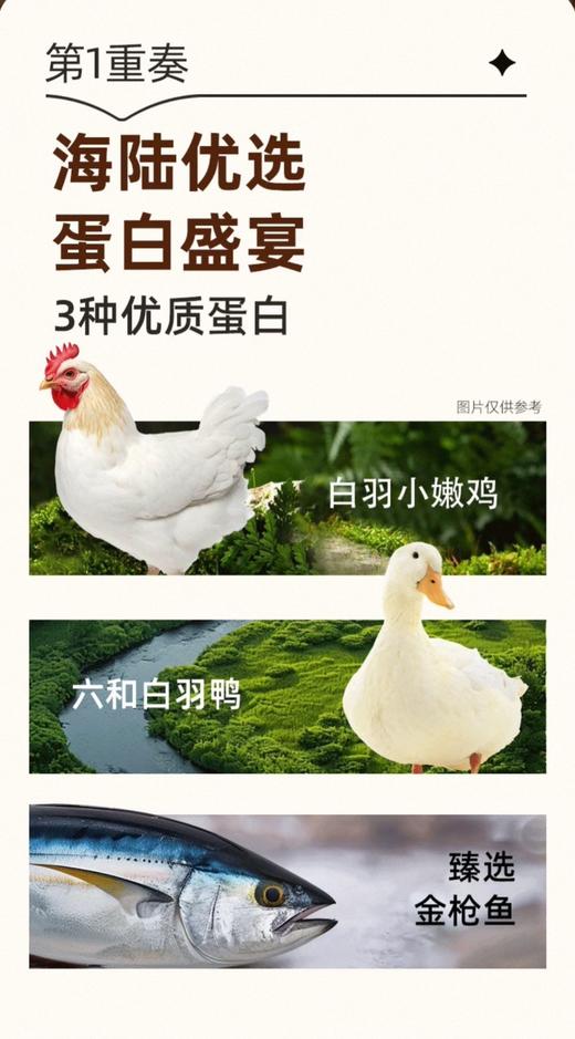 顽皮全价幼猫粮鸡肉味1.5kg/袋 商品图3