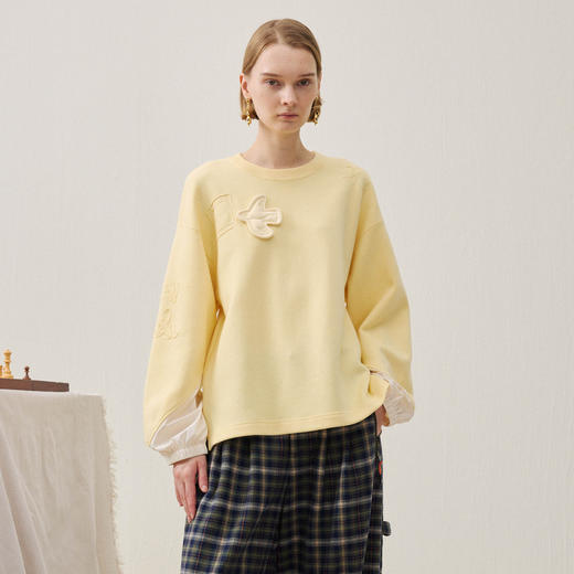 谜底套头针织衫长袖2025年冬季新品立体绣花小鸟设计女254MZ1883 商品图0