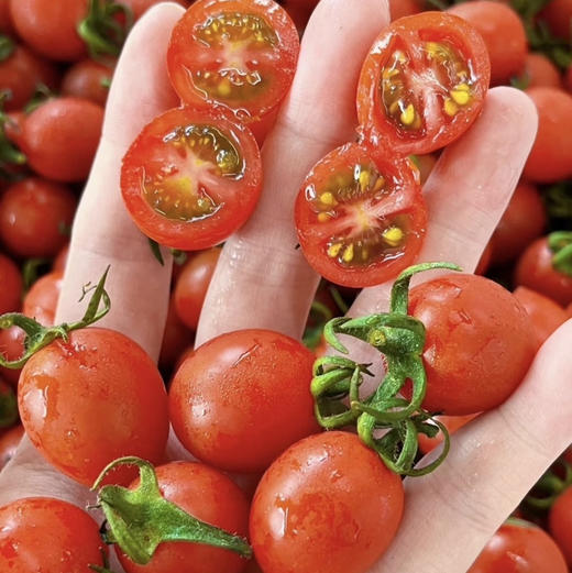 蜜露青甜绿小番茄双拼（千禧+青口蜜） 2/3斤 商品图6