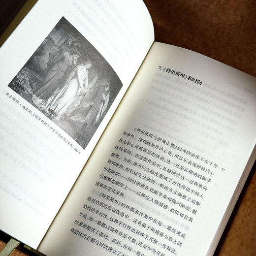 论歌剧 六点音乐译丛 歌剧文集 伯纳德·威廉斯 商品图12