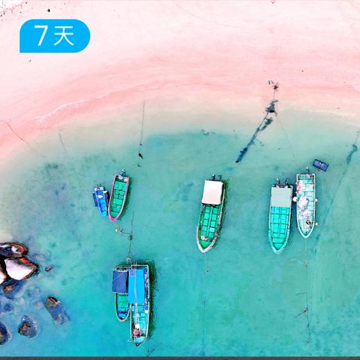 元旦春节｜海南环岛骑行大会  240公里精华海岸线解锁海南之美 7日 商品图6