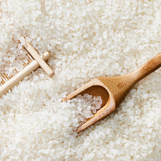 超值10斤【颗粒饱满香滑软润】鱼台大米东北大米礼盒新货真空。ja 商品图3