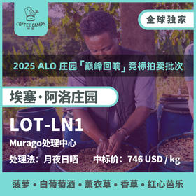 25产季 埃塞 阿洛 Alo LOT-LN1 月夜日晒（生豆）空运批次