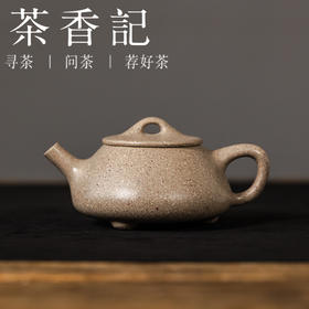 茶香记白段小石瓢紫砂壶100ml泡茶壶经典器形古朴清雅茶室茶具