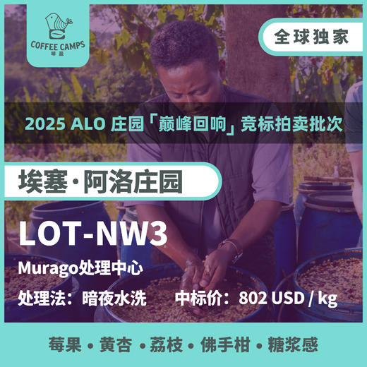 25产季 埃塞 阿洛 Alo LOT-NW3 暗夜水洗（生豆）空运批次 商品图0