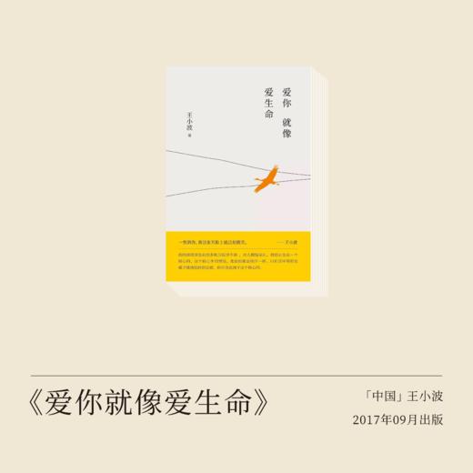 王小波《爱你就像爱生命》选文：他写得ZUI好的东西不是小说，是写给妻子的这些信。 商品图0