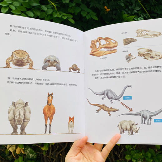 《大科学之友经典科普书:如果我是科学家》（全5册） 商品图12