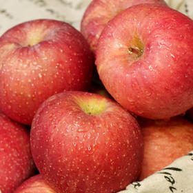 心选丨洛川苹果入口清甜香气浓郁果肉细腻松脆汁水充盈