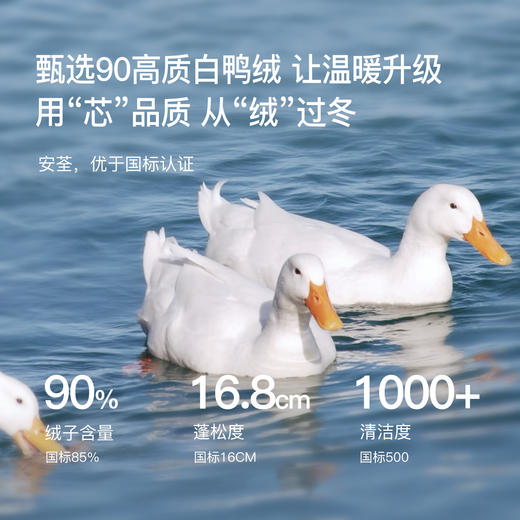 【年货节】熙世界工装巴恩风毛绒翻领羽绒服女冬2025新款大口袋白鸭绒短外套 商品图2