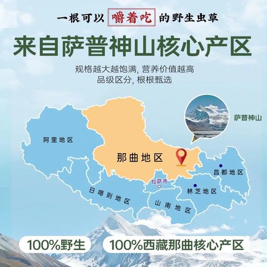 国坤堂 西藏那曲虫草贵系礼盒 商品图3