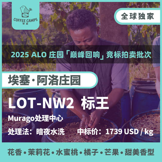 25产季 埃塞 阿洛 Alo LOT-NW2 暗夜水洗（生豆）空运批次 商品图0